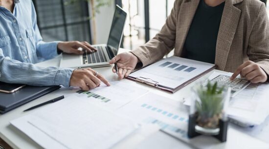 Pašnodarbinātais bez stresa (Grāmatvedības pamati saimnieciskās darbības veicējiem)